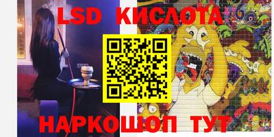 стафф Бердск