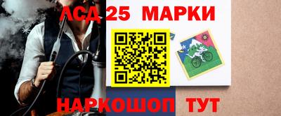 стафф Бердск