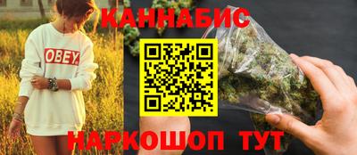 стафф Бердск