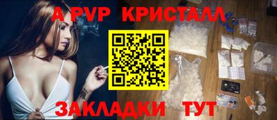стафф Бердск