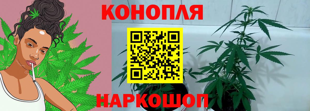 Конопля AK-47  Канабис план  Бошки марихуана гибрид  Вход с VPN  Каннабис SATIVA & INDICA  Ахтубинск 